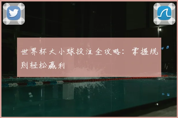 世界杯大小球投注全攻略：掌握规则轻松赢利