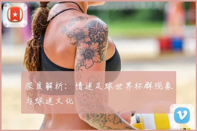 深度解析：情迷足球世界杯群现象与球迷文化