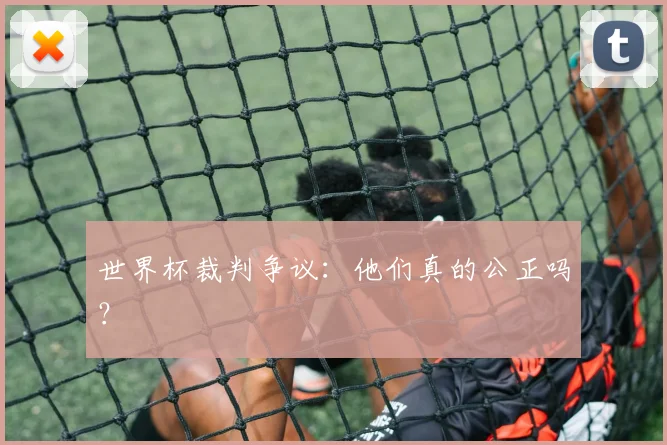 世界杯裁判争议：他们真的公正吗？