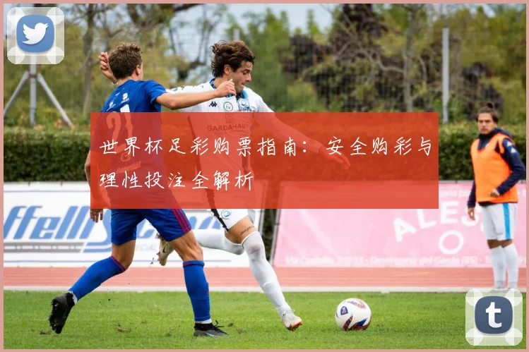世界杯足彩购票指南：安全购彩与理性投注全解析