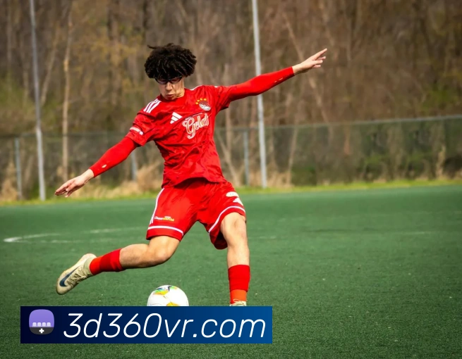 开云app在线登陆入口品牌故事